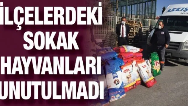 İlçelerdeki sokak hayvanları unutulmadı