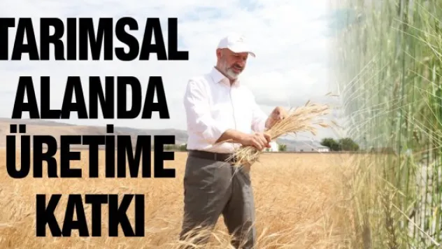 Kocasinan tarımsal alanda üretime katkı sağlıyor