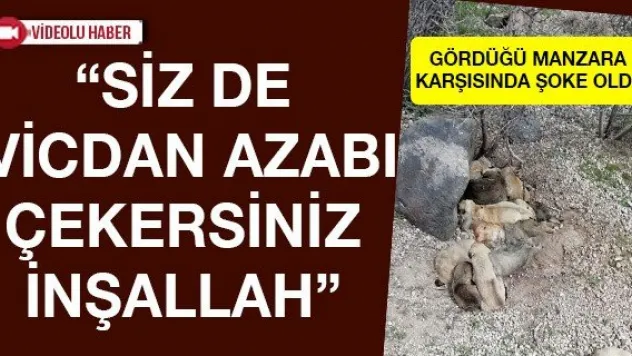 'SİZ DE VİCDAN AZABI ÇEKERSİNİZ İNŞALLAH'
