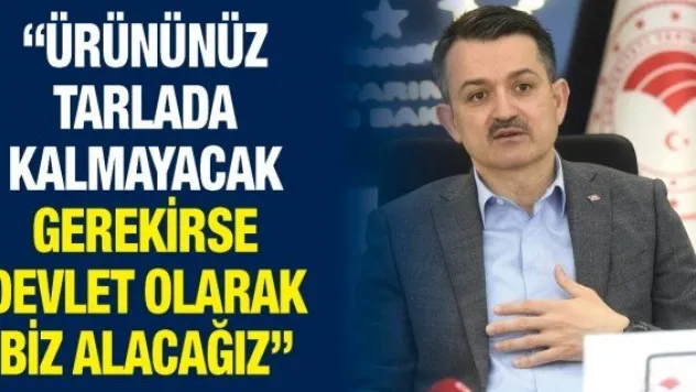 'Ürününüz tarlada kalmayacak gerekirse devlet olarak biz alacağız'