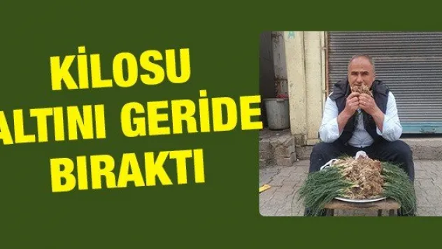 Zuzubak otunun kilosu altını geride bıraktı