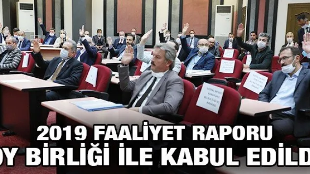 2019 FAALİYET RAPORU OY BİRLİĞİ İLE KABUL EDİLDİ