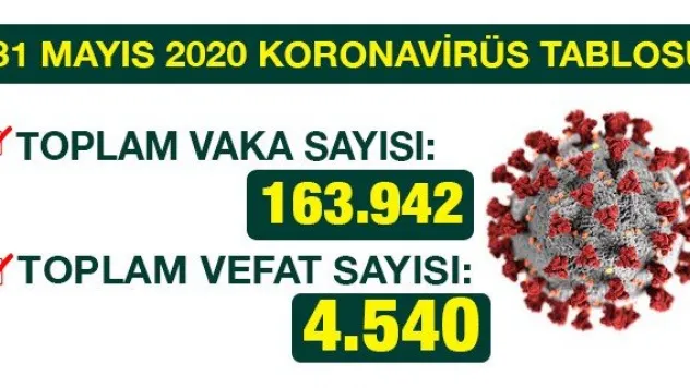 31 MAYIS 2020 KORONAVİRÜS TABLOSU