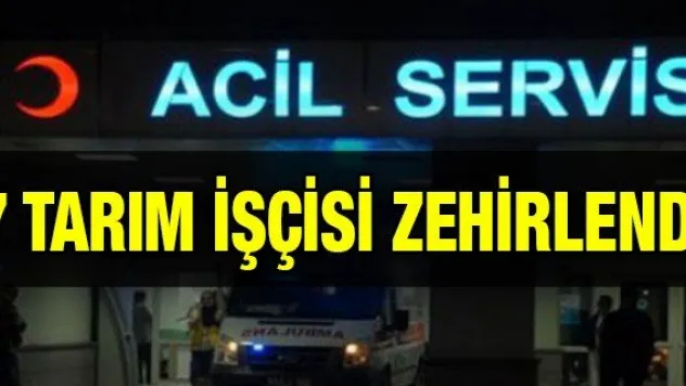 7 tarım işçisi karbonmonoksit gazından zehirlendi