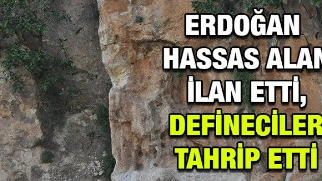 Cumhurbaşkanı Erdoğan hassas alan ilan etti, defineciler tahrip etti