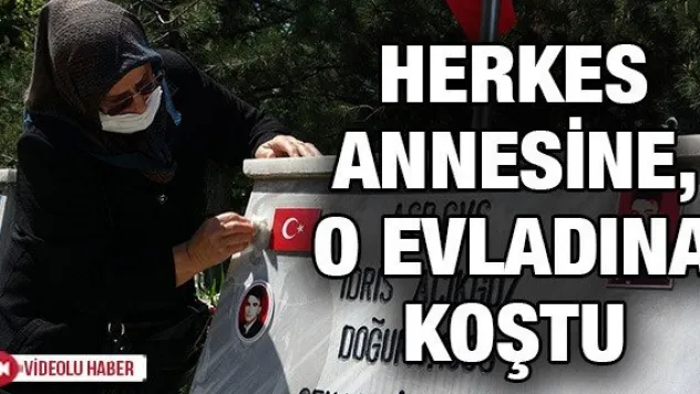 Herkes annesine, o evladına koştu