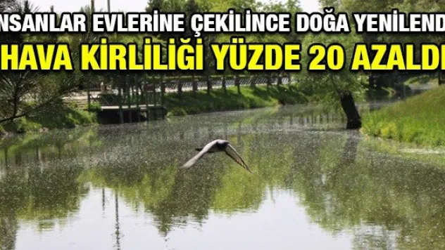 İnsanlar evlerine çekilince doğa yenilendi, hava kirliliği yüzde 20 azaldı