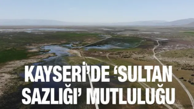 Kayseri'de 'Sultan Sazlığı' mutluluğu