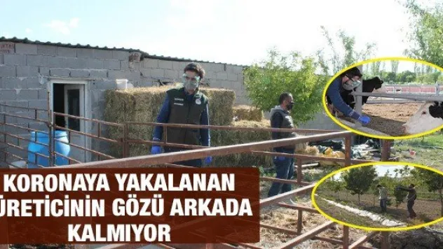 Koronaya yakalanan üreticinin gözü arkada kalmıyor