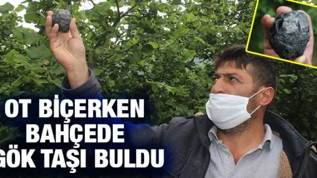 Ot biçerken bahçede gök taşı buldu