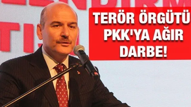 Terör örgütü PKK'ya ağır darbe!