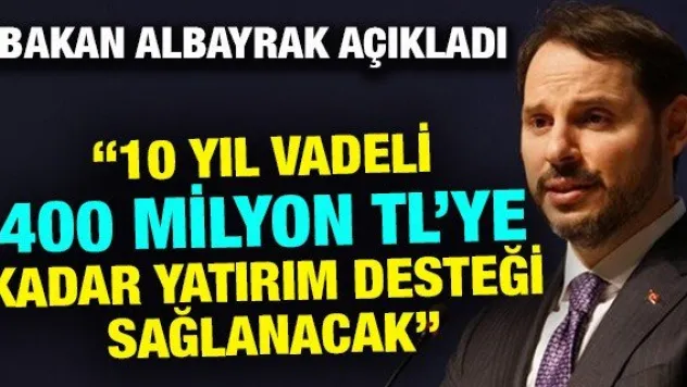 '10 yıl vadeli 400 milyon TL'ye kadar yatırım desteği sağlanacak'