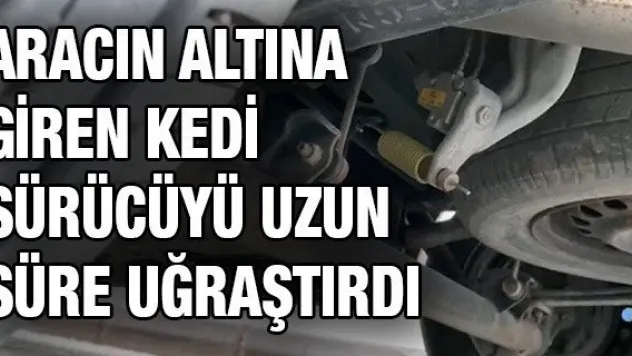 Aracın altına giren kedi sürücüyü uzun süre uğraştırdı