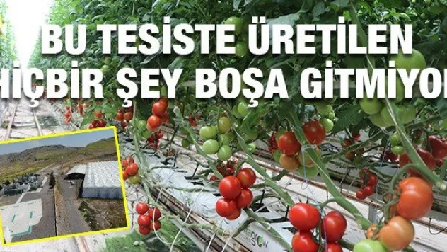 Bu tesiste üretilen hiçbir şey boşa gitmiyor