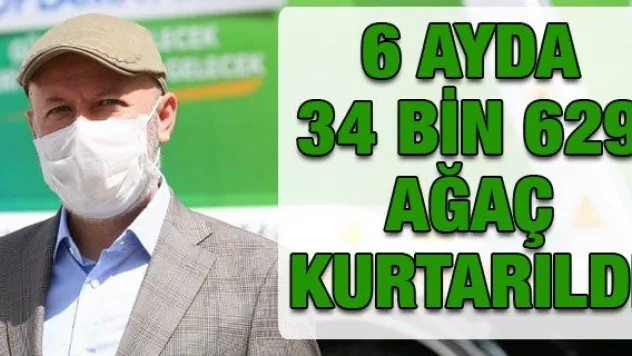 Kocasinan belediyesi, 6 ayda 34 bin 629 ağaç kurtardı