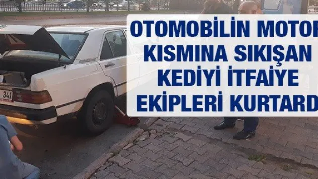Otomobilin motor kısmına sıkışan kediyi itfaiye ekipleri kurtardı