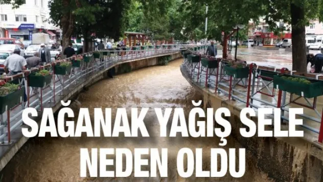 Sağanak yağış sele neden oldu