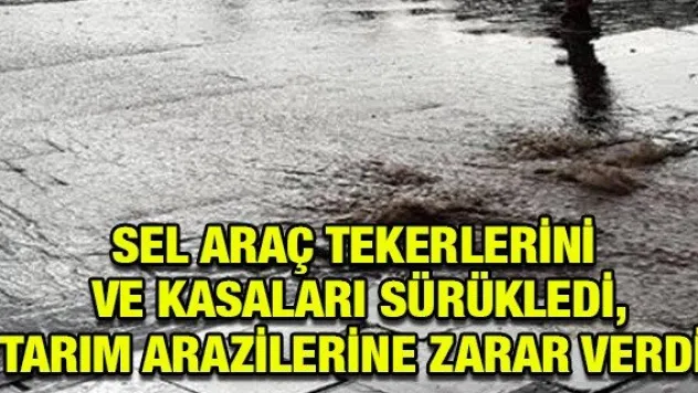 Sel araç tekerlerini ve kasaları sürükledi, tarım arazilerine zarar verdi