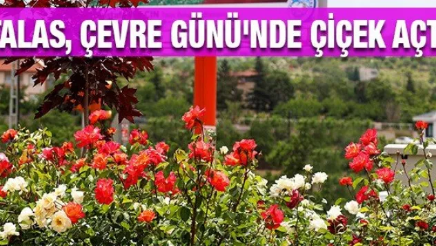 Talas, Çevre Günü'nde çiçek açtı