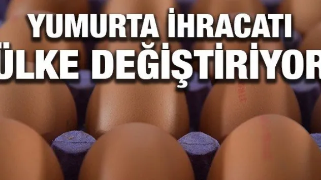 Yumurta ihracatı ülke değiştiriyor