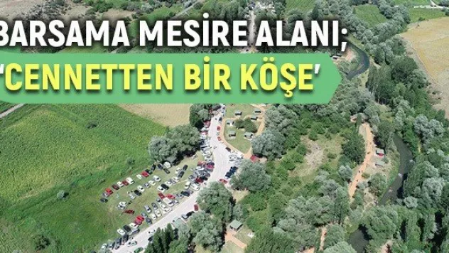 Barsama Mesire Alanı 'Cennetten bir köşe'