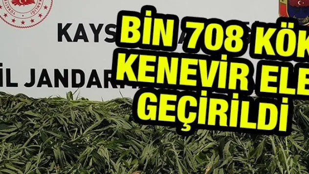 Kayseri'de bin 708 kök kenevir ele geçirildi