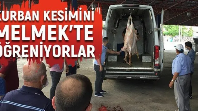 Kurban kesimini MELMEK'te öğreniyorlar