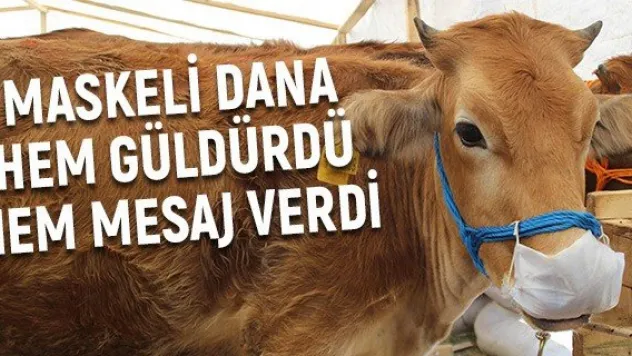 Maskeli dana hem güldürdü hem mesaj verdi
