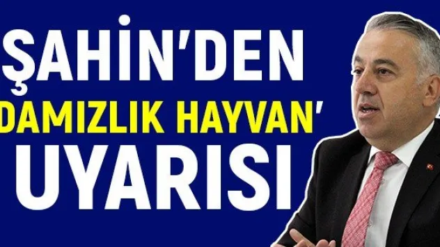 Şahin'den 'Damızlık hayvan' uyarısı