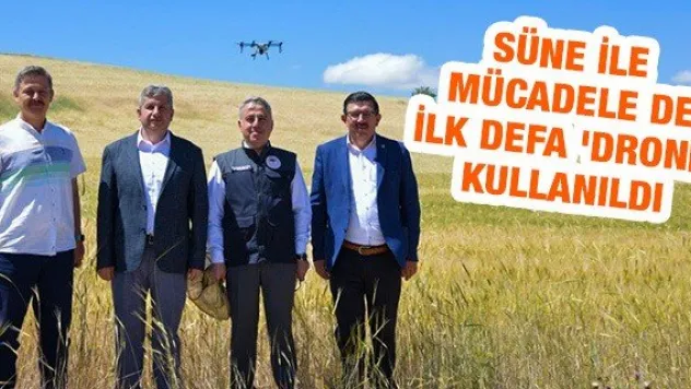 Süne ile mücadele de ilk defa 'Drone' kullanıldı