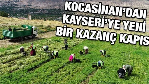 Tarımın merkezi Kocasinan'dan Kayseri'ye yeni bir kazanç kapısı