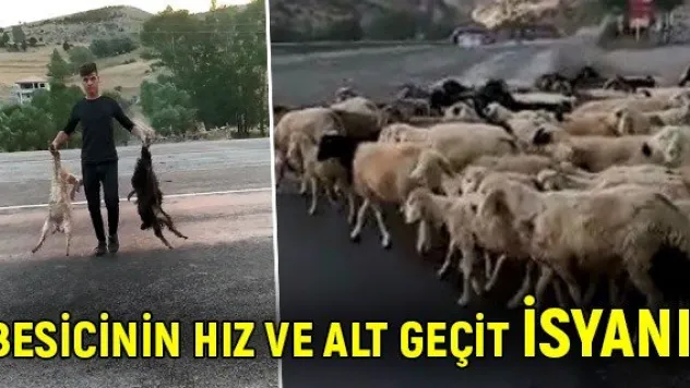 Besicinin hız ve alt geçit isyanı