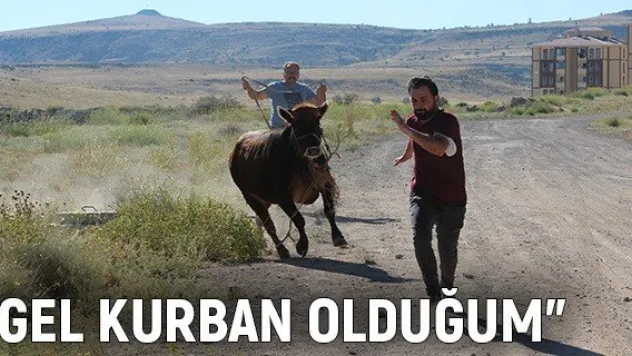 &quotGel kurban olduğum&quot