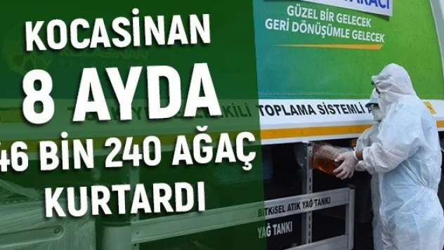 Kocasinan 8 ayda 46 bin 240 ağaç kurtardı