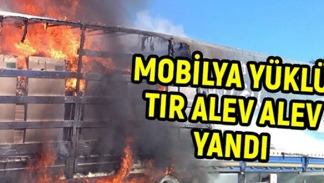 Mobilya yüklü tır alev alev yandı