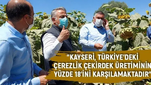 Şahin: &quotKayseri, Türkiye'deki çerezlik çekirdek üretiminin yüzde 18'ini karşılamaktadır'
