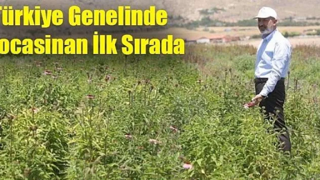 Türkiye Genelinde Kocasinan İlk Sırada