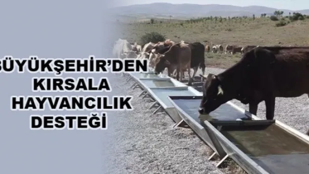 BÜYÜKŞEHİR'DEN KIRSALA HAYVANCILIK DESTEĞİ