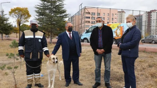 'BULUT' YENİDEN DOĞAL ORTAMINDA