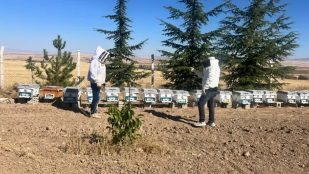 2025 yılı arılı kovan tespit çalışmaları devam ediyor
