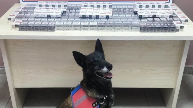 320 paket bandrolsüz sigara ele geçirildi