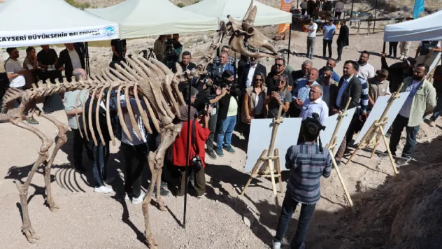 7,7 Milyon Yıllık Fosil Kazıları Kayseri'de Devam Ediyor