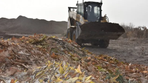 Kuru yapraklar, organik gübreye dönüşüyor