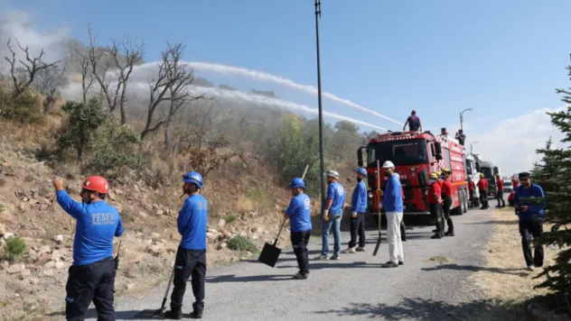 Ali Dağı, 'Yangın Kalkanı' ile yangından korunacak