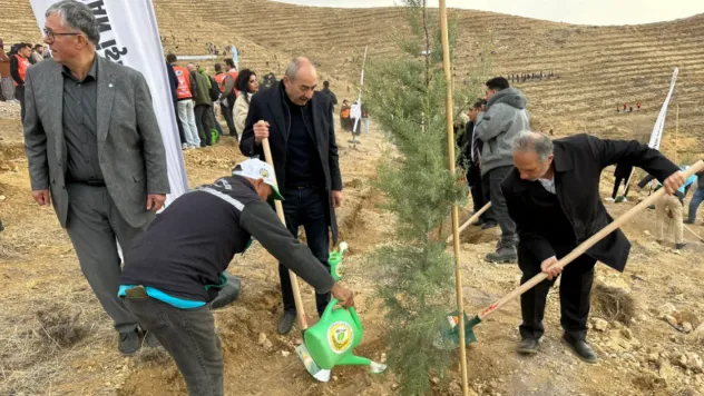 Ali Dağının Zirvesine 1111 Fidan