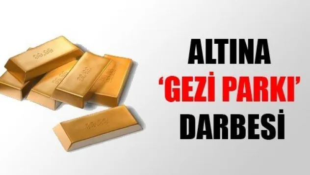 Altın'a Gezi Parkı Darbesi