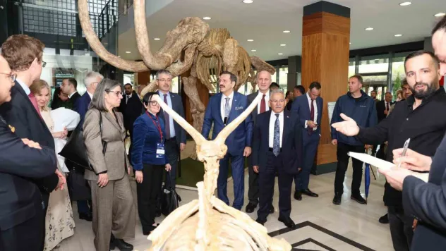 Avrupalı Büyükelçiler, 7.5 milyon yıllık fosillere hayran kaldı