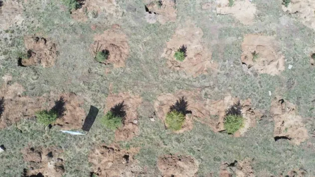 Yeşil proje ile hava kirliliğini azaltacak