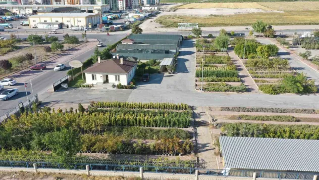 Başkan Çolakbayrakdar: 'Kişi başına düşen 18 metrekare yeşil alan ile rekoru yenileyeceğiz'