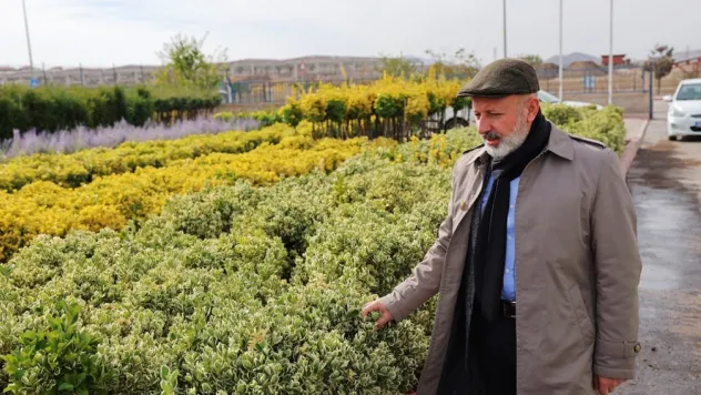 Kocasinan fidanlığı Kayseri'yi güzelleştiriyor